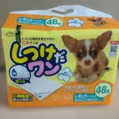 Item thumbnail for item 9d88cea0-7167-4bdd-8dc2-9f24688e6ea8