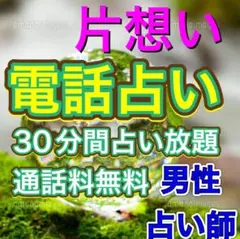 電話占い 30分間占い放題 男性占い師