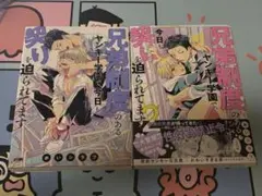 兄弟制度のあるヤンキー学園で、今日も契りを追られています。