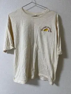 USJ ユニバ　ジュラシックワールド　Tシャツ