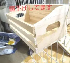 【ウッド牧草 チモシー 餌 おやつ入れ 大 】うさぎ用品 小動物用品鳥モルモット