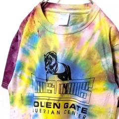 ポート&カンパニーゴールデンゲーム乗馬センター総柄 Tシャツ タイダイL古着