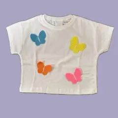 ZARA 蝶刺繍 ホワイトTシャツ