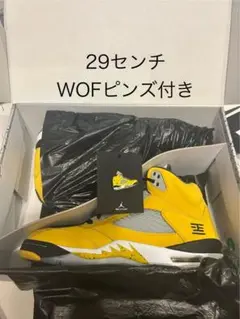 Nike Air Jordan 5 Retro "Tokyo 23"