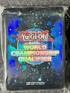 2025年最新】wcq 2012の人気アイテム - メルカリ