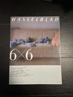 Item thumbnail for item 58885a4f-3322-4ab4-9e12-8c431d7a7aa4
