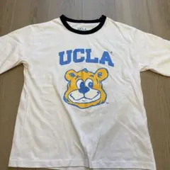 UCLA クマキャラクター Tシャツ 160サイズ