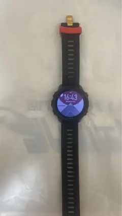 GARMIN245ミュージック
