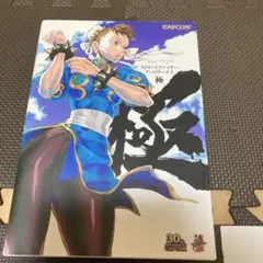 2025年最新】ストリートファイターアートワークス極の人気