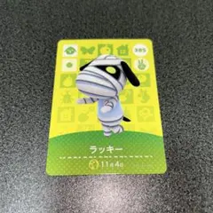 amiibo ラッキー　あつ森