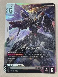 フリーダムガンダム　LR ニュータイプライジング