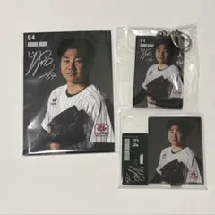 千葉ロッテマリーンズ　廣池康志郎　オンラインくじ　まとめ売り