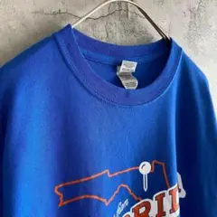 ギルダン 古着 フロリダ アメリカ輸入 両面プリント Tシャツ 半袖 青色