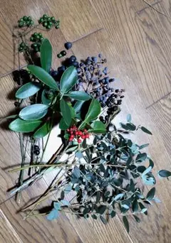 秋の木の実(ΦωΦ)ネコポス