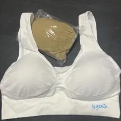 Item thumbnail for item 55709d4e-2545-4187-928e-b3a149ab6b0b