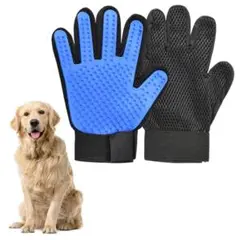 Item thumbnail for item 6ee795bc-a8a1-498f-a363-cedb4aac95ec
