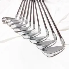 Mizuno ミズノプロ TOUR BIG SL-305 アイアン10本セット