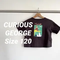 おさるのジョージグレークロップドTシャツsize120バックプリント