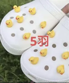 新品未使用★ジビッツ ひよこ5羽 クロックス