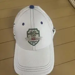 Item thumbnail for item d52e7a70-3e2b-43f3-a246-98295a1e1466