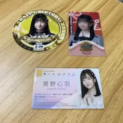 Item thumbnail for item 229cbdc4-f1f7-4a72-8014-e5eb778e453d