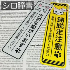 Item thumbnail for item ba516d2b-471d-42b5-88cd-0bbb0155e8e5