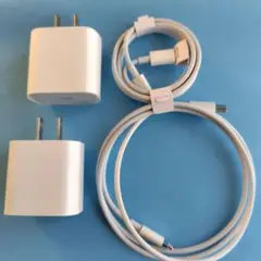 20W充電器と1m Lightningケーブルセット