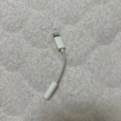 Apple純正！変換アダプタ