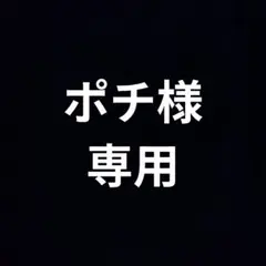 ポチ様【専用】です