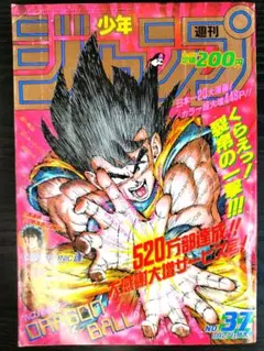 トトロさん専用　少年ジャンプ　ドラゴンボール表紙　９０年３７号 週刊少年ジャンプ 1990年37号 ドラゴンボール表紙巻頭カラー
