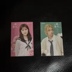 お嬢と番犬くん　ビジュアルカード　福本莉子