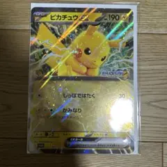 ポケモンスタンプラリー2025 カード(ジャンボカードのみ)