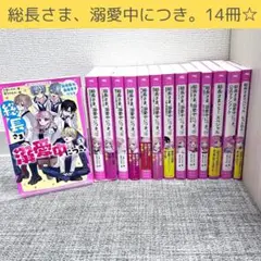 総長さま、溺愛中につき。全14冊セット　スペシャル　野いちごジュニア文庫