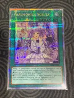 2025年最新】ヴァルモニカ・シェルタ アジアの人気アイテム