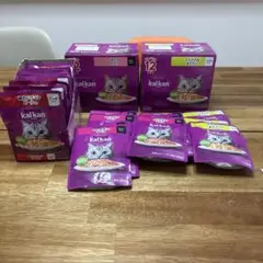 Item thumbnail for item ba8251e8-4e96-434e-8aa6-f05f0fceece0