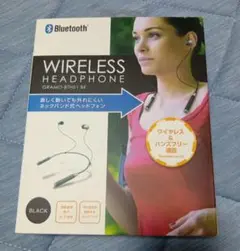 Item thumbnail for item 975897b9-bfe1-40da-9e9b-8eadf647614f