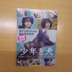 少年と犬　映画告知カバー版