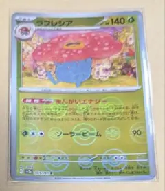 ポケモンカード　モンボ　ラフレシア