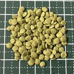 ミニチュア ミント 1ｇ ミニチュアスイーツ クレイケーキに 樹脂粘土