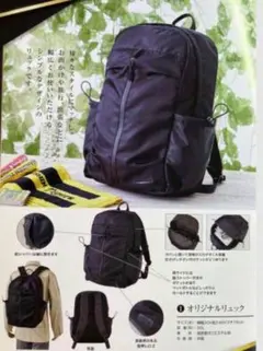 阪神タイガース　年間指定席限定　リュック