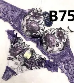 Item thumbnail for item a0b958ff-e99e-4a85-82d2-e03807c41eb5