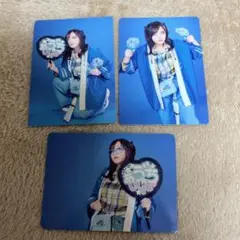 女王蜂 蜂戯王