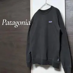 Patagonia トレーナー フィッツロイロゴ