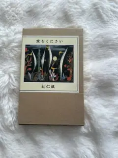 愛をください　辻仁成