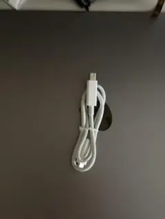 APPLE THUNDERBOLT 2 0.5m ケーブル純正保証有