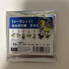 日ハム　奈良間　カルガモ隊