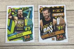 Item thumbnail for item 07ba0a62-eb74-4741-93db-6cabd4db0d14