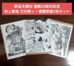 新品未開封 連載30周年記念 地上最強 刃牙展ッ！複製原画3枚セット 2025年最新】刃牙展複製原画の人気アイテム - メルカリ
