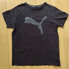 プーマ　半袖Tシャツ　160cm