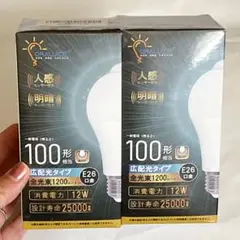 ORALUCE 電球 2個セット 人感センサー 明暗センサー 100形 E26